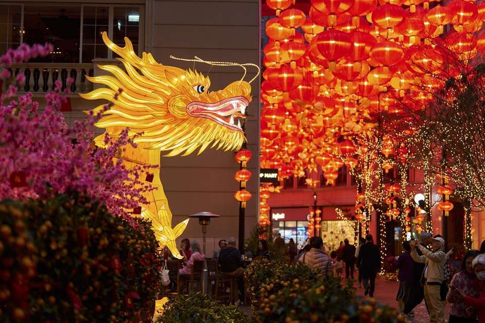 200米的林蔭大道改造成新春燈籠海，金光閃閃的福運金魚燈籠穿梭於800個如意燈籠之中，中庭打造一條金光閃耀、長達8米的巨龍裝置