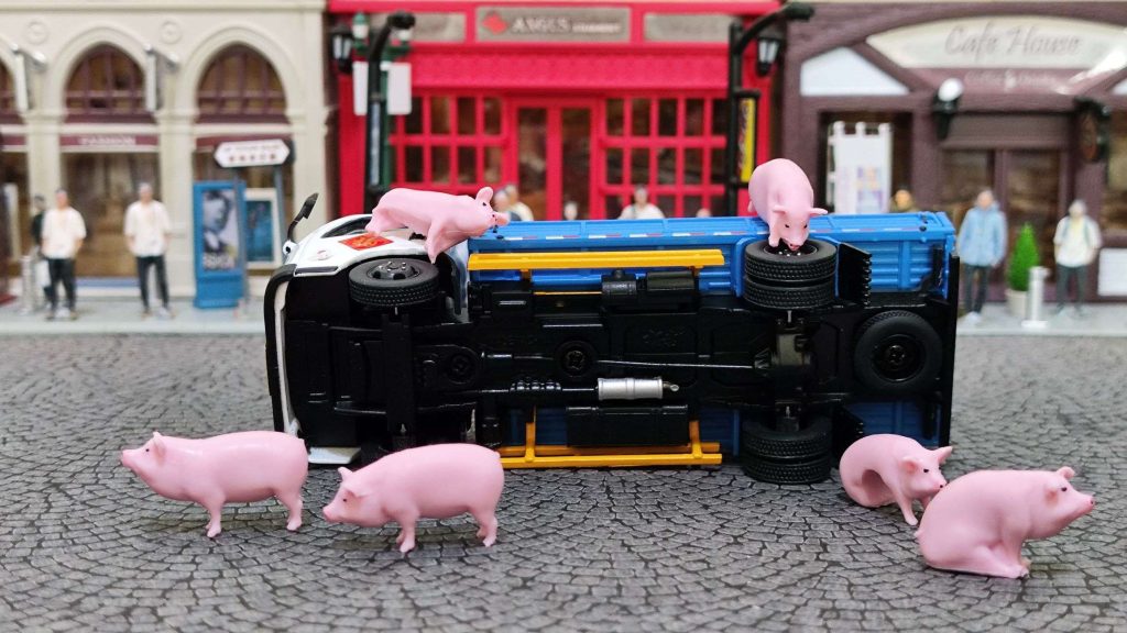 拓意江鈴凱銳n800輕型卡車牲口運輸車