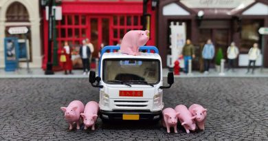 拓意江鈴凱銳n800輕型卡車牲口運輸車