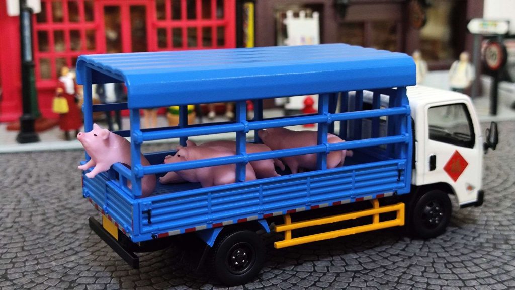 拓意江鈴凱銳n800輕型卡車牲口運輸車