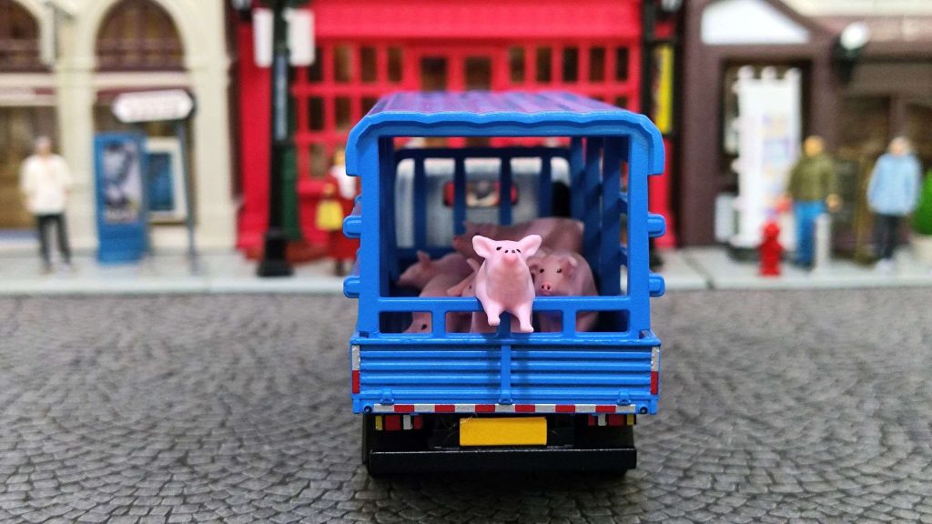 拓意江鈴凱銳n800輕型卡車牲口運輸車