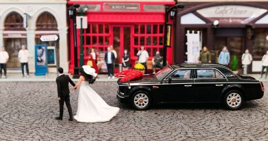 Xcartoys Hongqi L5 “Wedding Day”