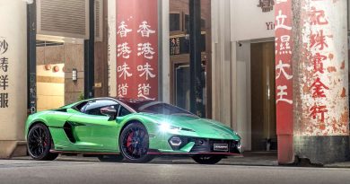 林寶堅尼Temerario配備更偏向賽道駕駛的Alleggerita（輕量化）套件，可實現車身重量減輕超過25kg，同時提升了空氣動力學效率。在香港展出時，該車呈現全新專屬顏色Verde Mercurius(墨綠色)，通過林寶堅尼Ad Personam高級個人化客製化專案提供超過400種車身顏色和特殊塗裝選項，為客戶帶來近乎無限的客製化可能性。