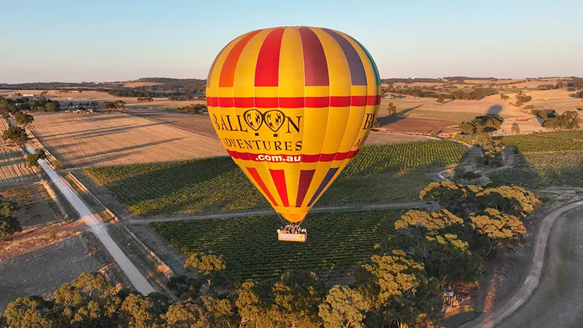 去澳洲淨係識去悉尼打卡?啊姐 汪明荃Liza同周嘉洛今次帶大家飛南澳阿德萊德,由酒莊飲到落水底!