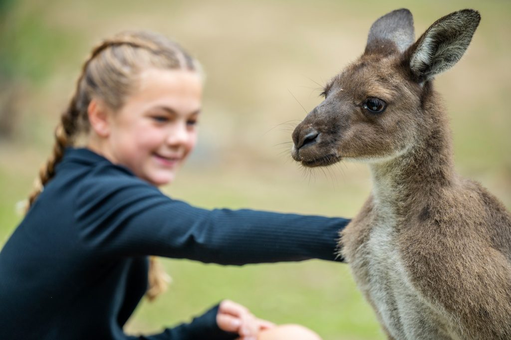 去澳洲淨係識去悉尼打卡?啊姐 汪明荃Liza同周嘉洛今次帶大家飛南澳阿德萊德,由酒莊飲到落水底!
