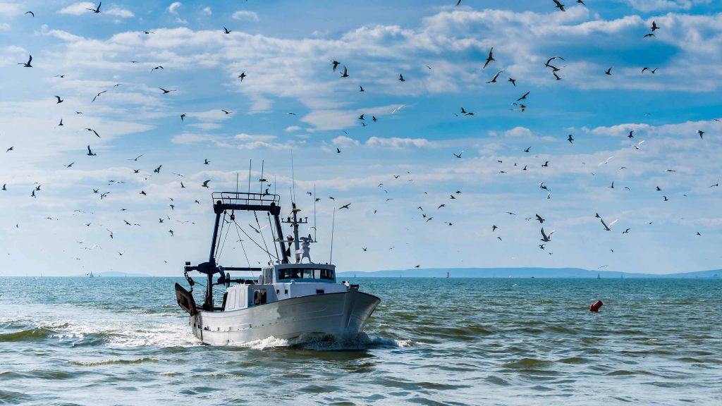 去澳洲淨係識去悉尼打卡?啊姐 汪明荃Liza同周嘉洛今次帶大家飛南澳阿德萊德,由酒莊飲到落水底!