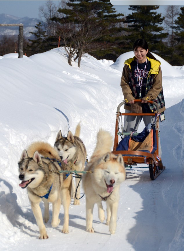 北海道富良野新地標,住NOZO HOTEL3分鐘直達粉雪天堂,玩盡冬日假期
