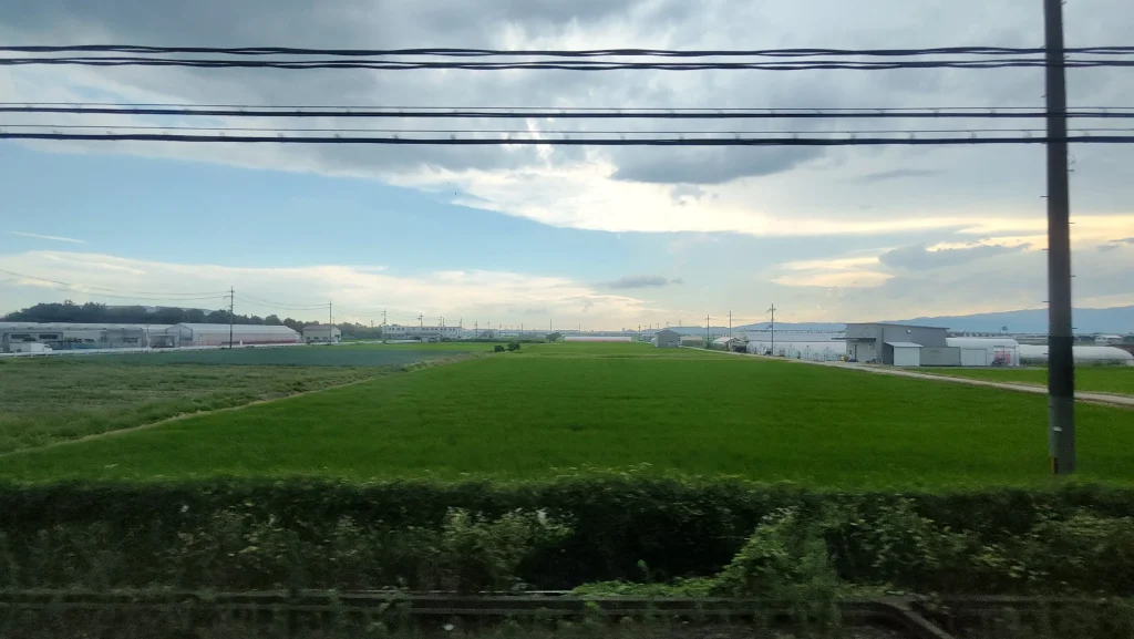Greenmax aoniyoshi 50745